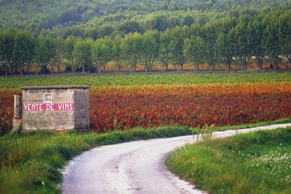 Villa La Cigale à Les Arcs-sur-Argens Extérieur photo